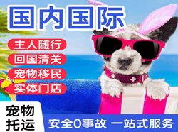 果洛玛沁航空邮寄国际宠物托运 【国